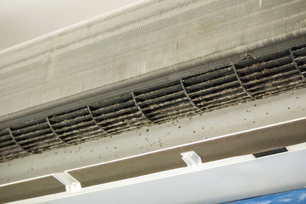 Best HVAC Maintenance and Cleaning  in Fort Lewis, WA